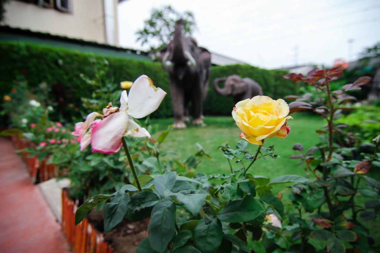 Woodfield Resort Chiang Mai - Sha Extra Plus Exterior foto
